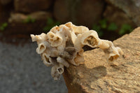 Natural Drusi Quartz Coated Calcite Pseudomorph Specimens  x 6 From Alberts Mountain, Lesotho - TopRock