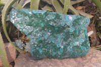 Polished Extra Large Malacholla Plate Specimen x 1 From Kulukuluku, Congo