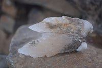 Natural Drusi Quartz Coated Calcite Crystals  x 12 From Alberts Mountain, Lesotho - Toprock Gemstones and Minerals 