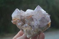 Natural Mixed Spirit Quartz Clusters  x 12 From Boekenhouthoek, South Africa - Toprock Gemstones and Minerals 