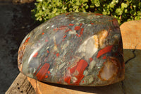 Polished XXL Bloodstone (Seftonite) Standing Free Form With Pyrite Specks  x 1 From Swaziland - TopRock