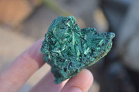 Natural Chatoyant Silky Malachite Specimens  x 12 From Kasompe, Congo