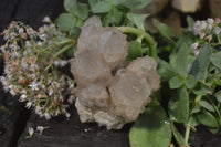 Natural Cascading Smokey Quartz Clusters x 3 From Luena, Congo