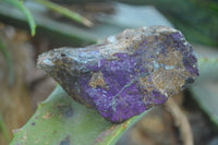 Natural Metallic Purpurite Cobbed Specimens  x 12 From Erongo, Namibia - Toprock Gemstones and Minerals 