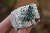 Natural Rare Ball Malachite On Drusy Quartz & Dolomite Matrix Specimens x 6 From Congo