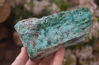 Natural Drusy Coated Chrysocolla & Malachite Dolomite Specimens x 2 From Likasi, Congo