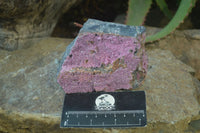 Natural Pink Salrose Cobaltion Dolomite Specimens  x 6 From Kakanda, Congo