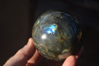 Polished Lovely Labradorite Spheres  x 6 From Tulear, Madagascar