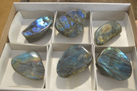 Polished Labradorite Standing Free Forms  x 6 From Tulear, Madagascar