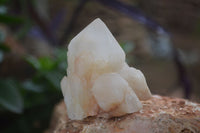 Natural Highly Selected Pineapple Candle Quartz Crystals  x 12 From Madagascar - Toprock Gemstones and Minerals 