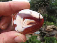 Polished Bright Red/ Orange Medium Sized Carnelian Palm Stones / Gallets - sold per kg - From Madagascar - TopRock