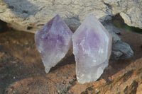 Natural Single Jacaranda Amethyst Crystals x 12 From Zambia