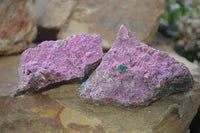 Natural Pink Salrose Cobaltion Dolomite Specimens  x 6 From Kakanda, Congo