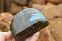 Polished Labradorite Standing Free Forms With Intense Blue & Gold Flash x 3 From Tulear, Madagascar - TopRock