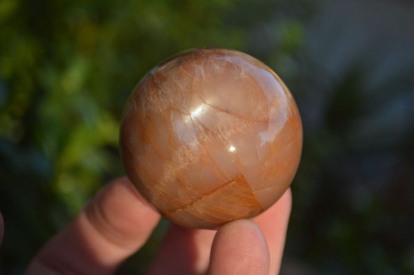 Polished Flashy Peach Moonstone Spheres  x 6 From Madagascar - Toprock Gemstones and Minerals 