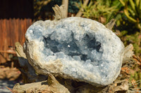 Natural Blue Celestite Geode Specimen  x 1 From Sakoany, Madagascar - TopRock