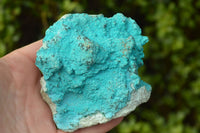 Natural Bright Blue Botryoidal Chrysocolla Specimens x 4 From Lupoto, Congo - TopRock