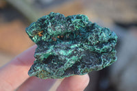 Natural Chatoyant Silky Malachite Specimens  x 12 From Kasompe, Congo