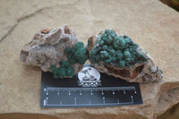 Natural Rare Ball Malachite On Drusy Quartz & Dolomite Matrix Specimens x 6 From Congo