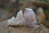 Natural Rare Spirit Ametrine Quartz Crystals  x 35 From Boekenhouthoek, South Africa - Toprock Gemstones and Minerals 