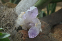 Natural Jacaranda Amethyst Clusters  x 3 From Mumbwa, Zambia - Toprock Gemstones and Minerals 