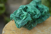 Natural Chatoyant Silky Malachite Specimens  x 2 From Kasompe, Congo - TopRock