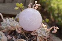 Polished Rare Blue Rose Quartz Spheres With Asterisms  x 4 From Madagascar - TopRock