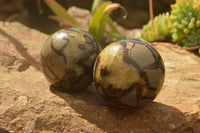 Polished Septarian (Calcite & Aragonite) Spheres  x 5 From Mahajanga, Madagascar - TopRock