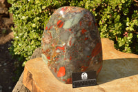 Polished XXL Bloodstone (Seftonite) Standing Free Form With Pyrite Specks  x 1 From Swaziland - TopRock