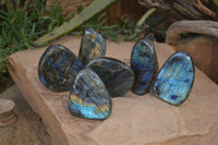 Polished Labradorite Standing Free Forms  x 6 From Tulear, Madagascar