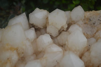 Natural Extra Large Pineapple Quartz Cluster  x 1 From Madagascar - TopRock