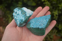 Natural Blue Chrysocolla On Silky Malachite Matrix Specimens  x 6 From Kulukuluku, Congo - Toprock Gemstones and Minerals 