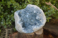 Natural Blue Celestite Geode Specimen  x 1 From Sakoany, Madagascar