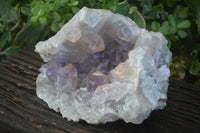 Natural Jacaranda Amethyst Geode Specimen  x 1 From Zambia - Toprock Gemstones and Minerals 