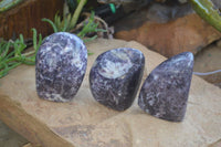 Polished Purple Lepidolite Free Forms  x 3 From Zimbabwe - Toprock Gemstones and Minerals 