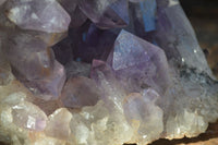 Natural Jacaranda Amethyst Cluster x 1 From Mumbwa, Zambia - TopRock