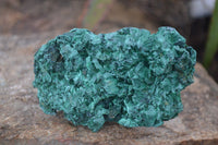 Natural Chatoyant Silky Malachite Specimens  x 3 From Kasompe, Congo