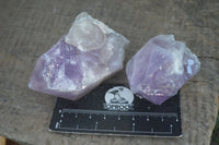 Natural Single Jacaranda Amethyst Crystals x 12 From Zambia