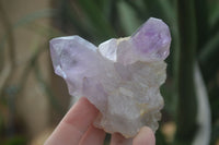 Natural Jacaranda Amethyst Clusters  x 3 From Mumbwa, Zambia - Toprock Gemstones and Minerals 