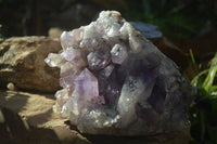 Natural Jacaranda Amethyst Cluster x 1 From Mumbwa, Zambia - TopRock