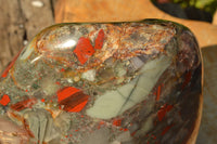 Polished XXL Bloodstone (Seftonite) Standing Free Form With Pyrite Specks  x 1 From Swaziland - TopRock