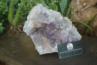 Natural Jacaranda Amethyst Geode Specimen  x 1 From Zambia - Toprock Gemstones and Minerals 