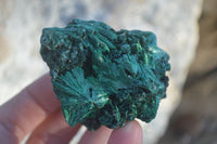 Natural Chatoyant Silky Malachite Specimens  x 12 From Kasompe, Congo