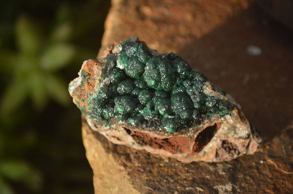 Natural Rare Ball Malachite On Drusy Quartz & Dolomite Matrix Specimens x 6 From Congo