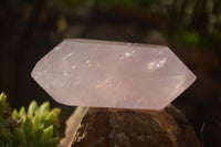 Polished Double Terminated Pink Rose Quartz Points  x 4 From Ambatondrazaka, Madagascar - TopRock