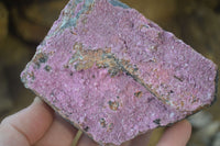 Natural Pink Salrose Cobaltion Dolomite Specimens  x 6 From Kakanda, Congo