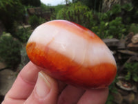 Polished Bright Red/ Orange Medium Sized Carnelian Palm Stones / Gallets - sold per kg - From Madagascar - TopRock