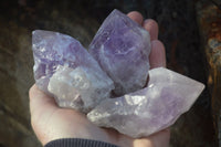 Natural Single Jacaranda Amethyst Crystals x 12 From Zambia