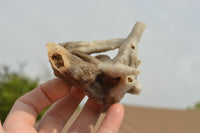 Natural Drusi Quartz Coated Calcite Pseudomorph Specimens  x 6 From Alberts Mountain, Lesotho - TopRock