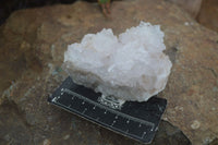 Natural Mixed Spirit Quartz Clusters  x 12 From Boekenhouthoek, South Africa - Toprock Gemstones and Minerals 